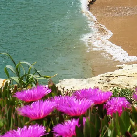 Pensionat Kerart House 3*